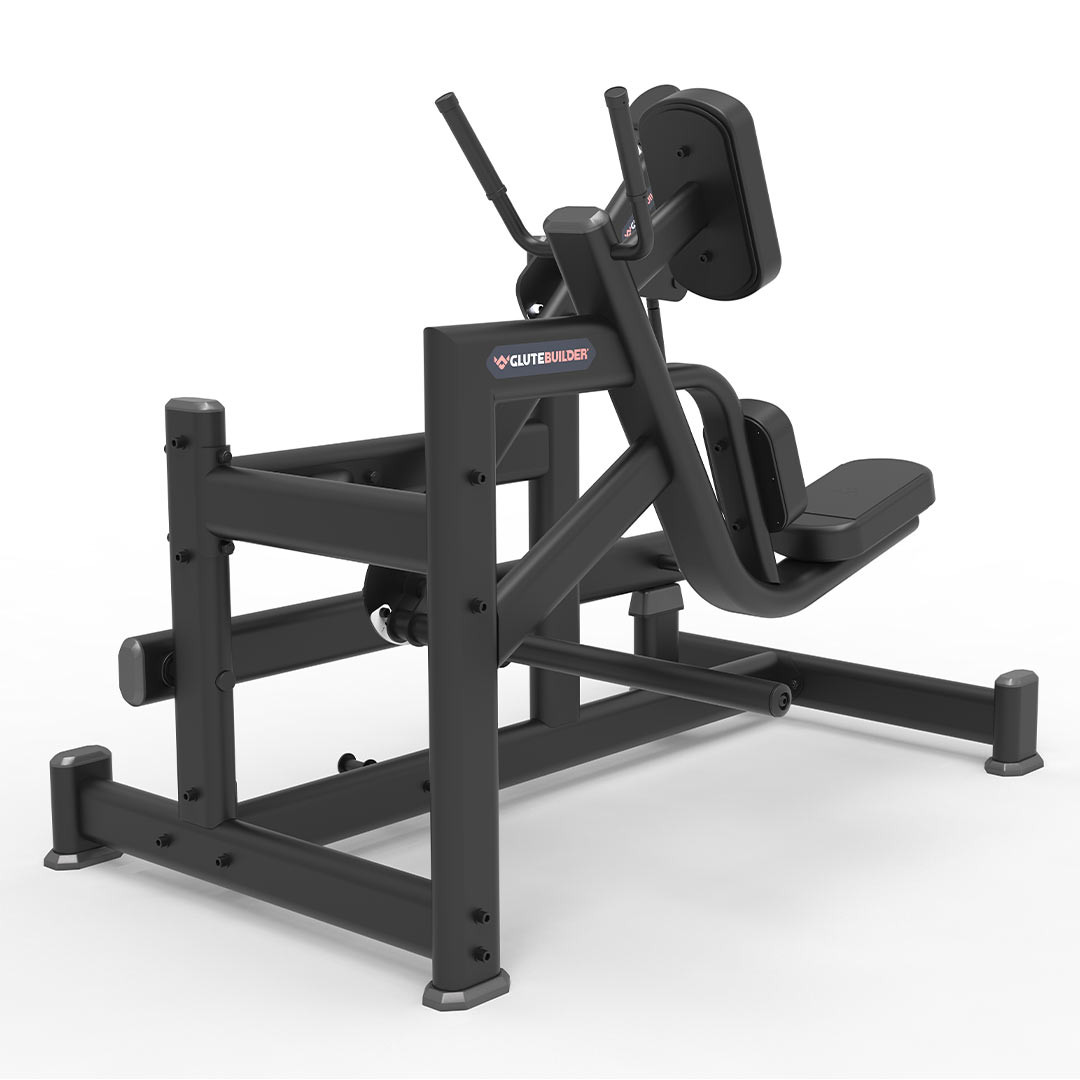 Precor Pendulum Kickback